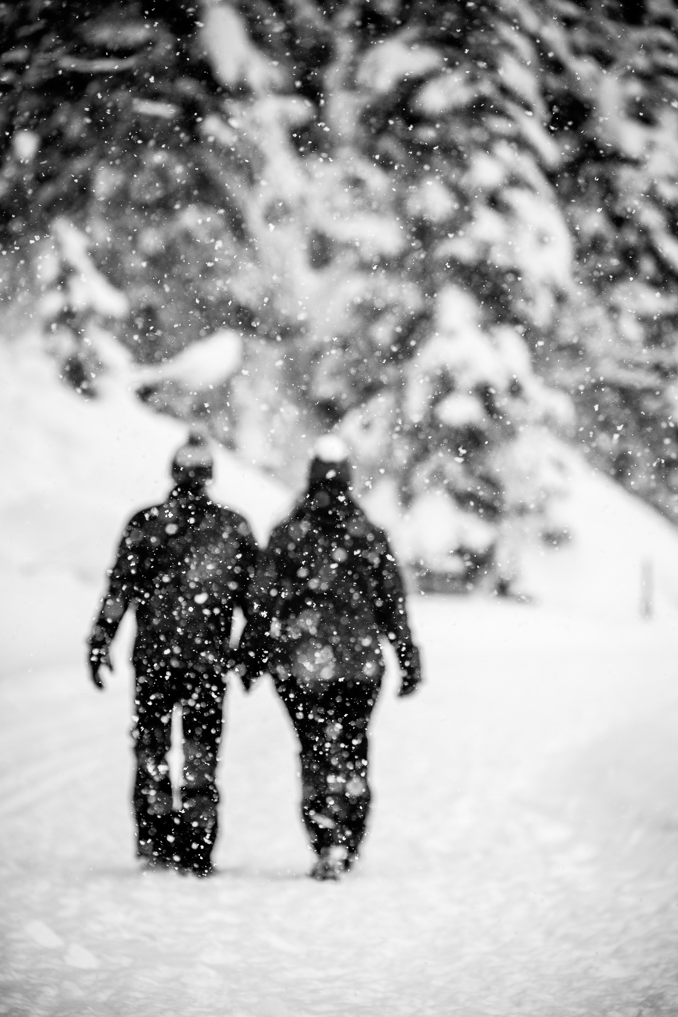 Export x3 1DX29366 Verlobungsfotoshooting 2018 Anna & Dominik 4